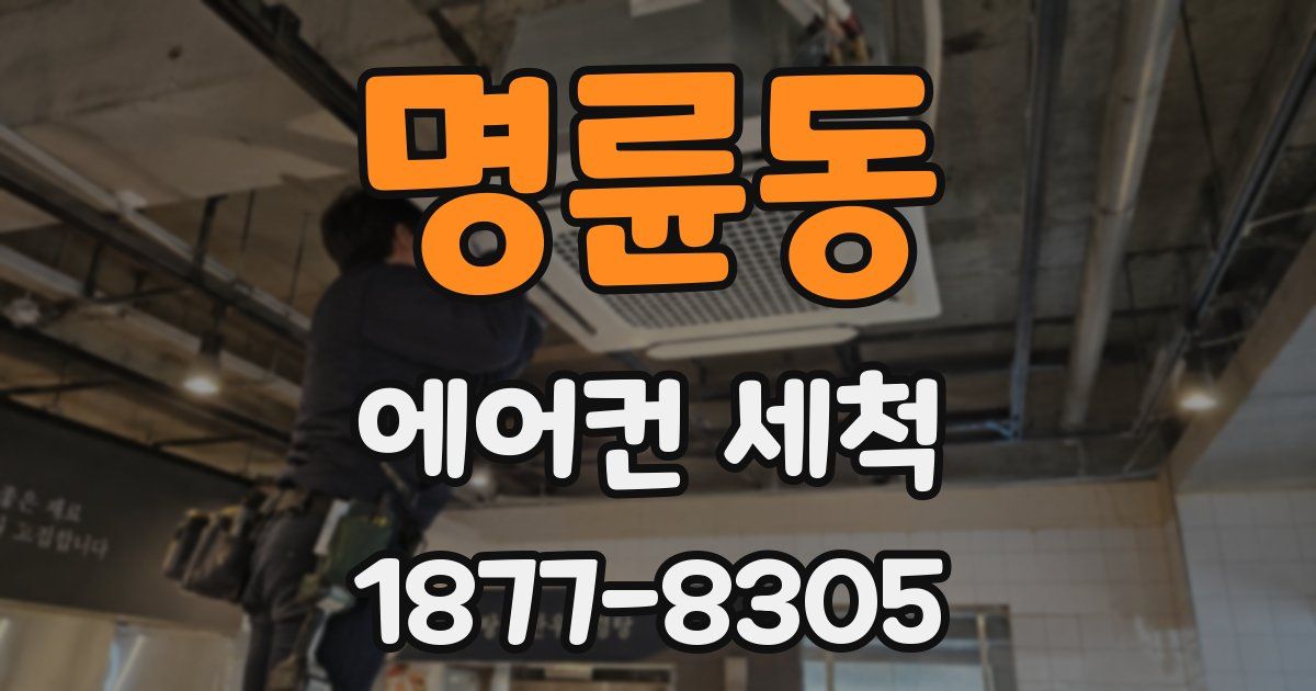 명륜동 에어컨 세척