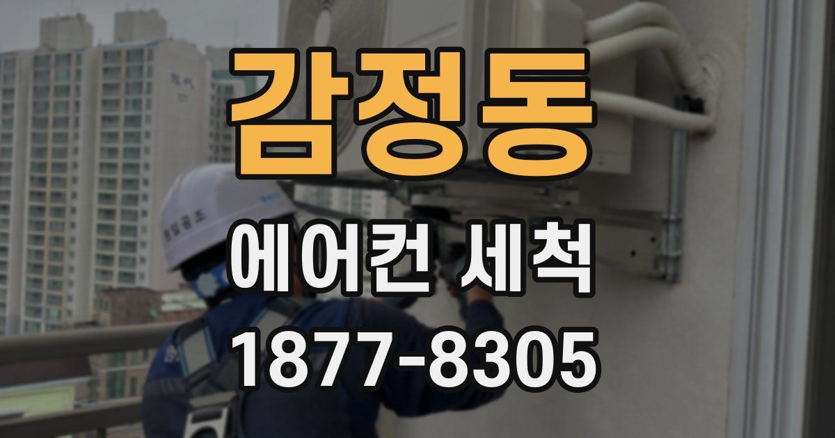 감정동 에어컨 세척