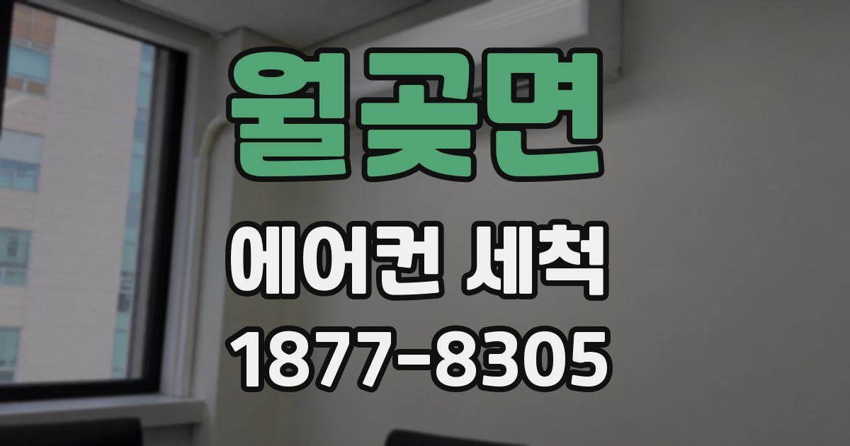 월곶면 에어컨 세척