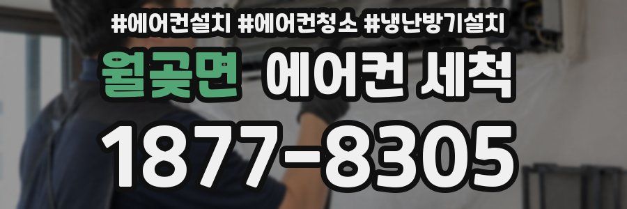 월곶면 에어컨 세척