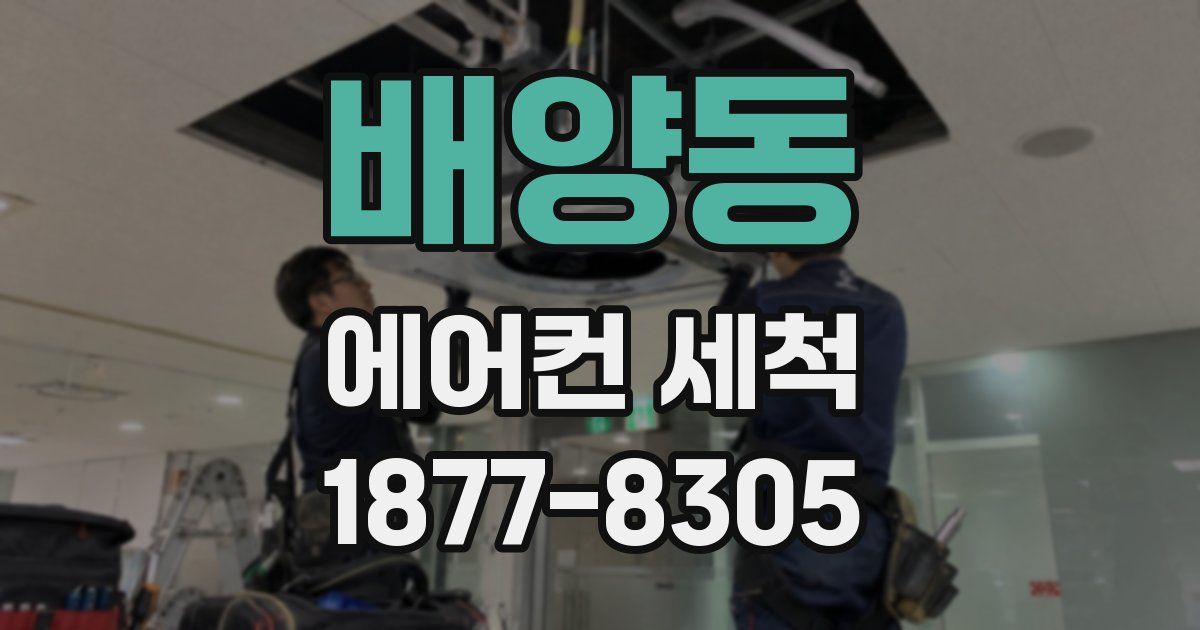 배양동 에어컨 세척