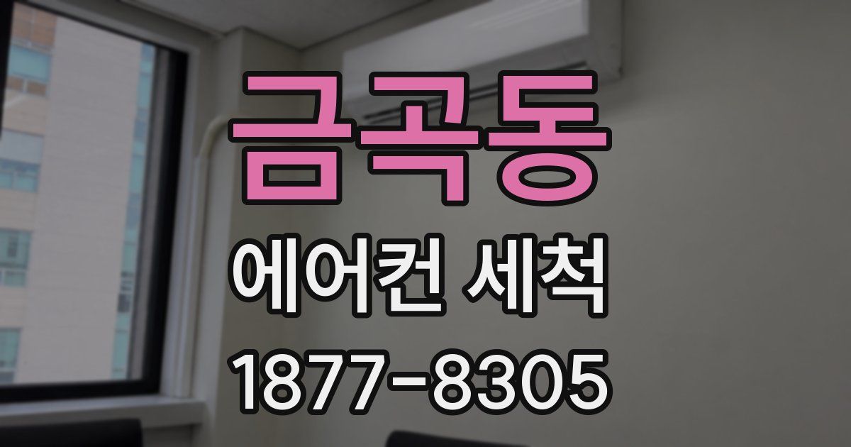 금곡동 에어컨 세척