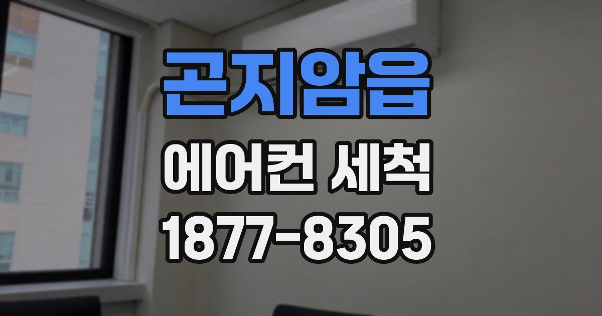 곤지암읍 에어컨 세척