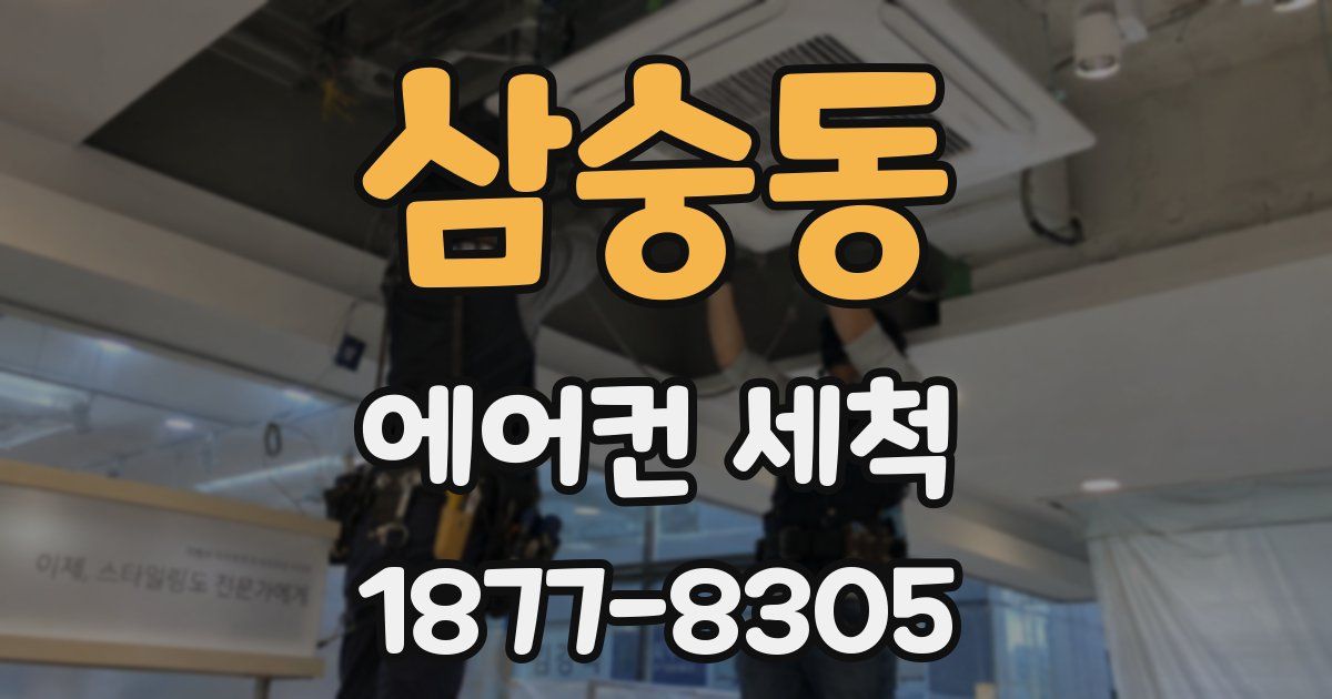 삼숭동 에어컨 세척