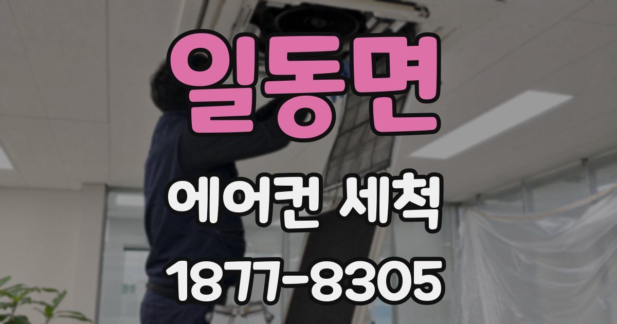 일동면 에어컨 세척