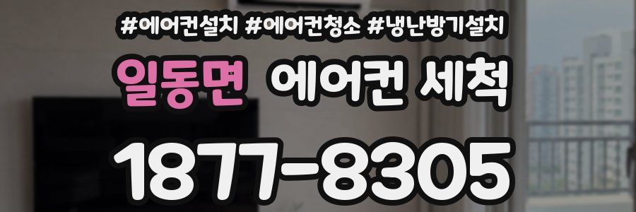 일동면 에어컨 세척