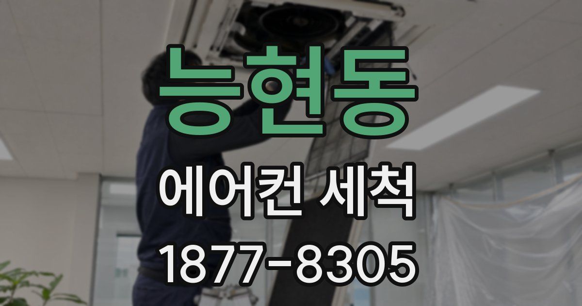능현동 에어컨 세척