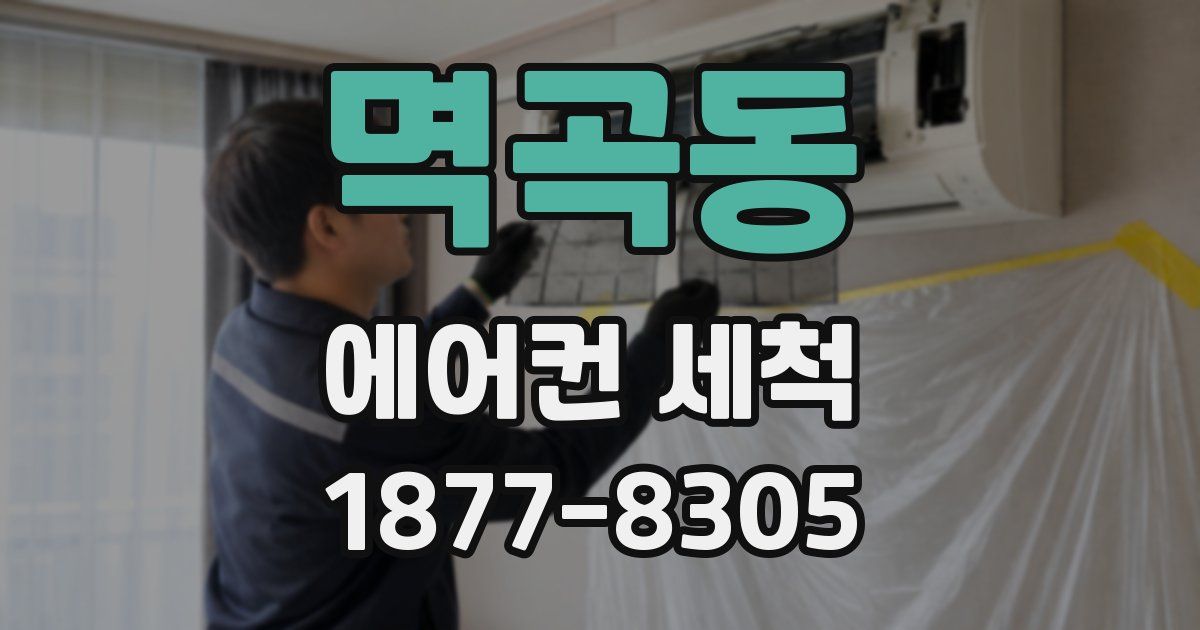멱곡동 에어컨 세척