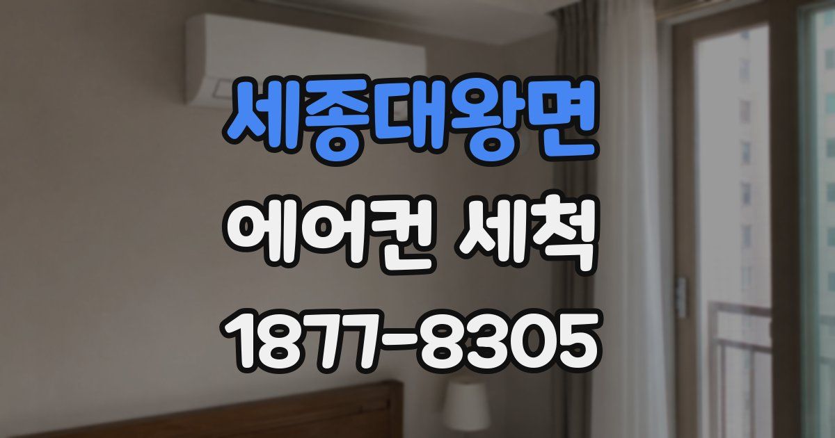 세종대왕면 에어컨 세척