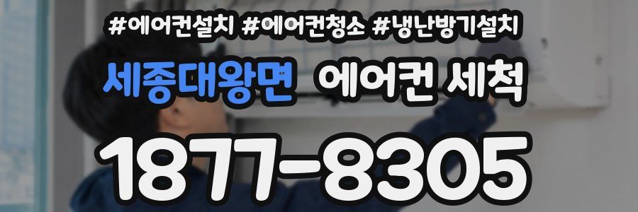 세종대왕면 에어컨 세척