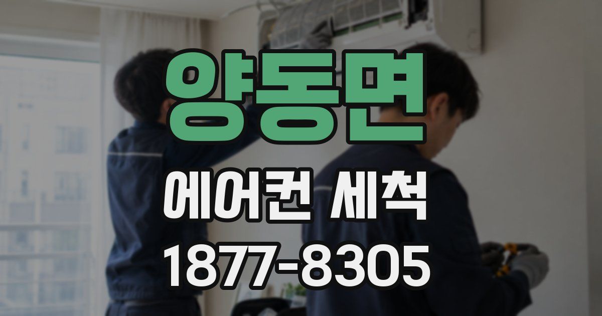 양동면 에어컨 세척