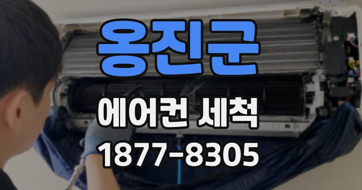 옹진군 에어컨 세척
