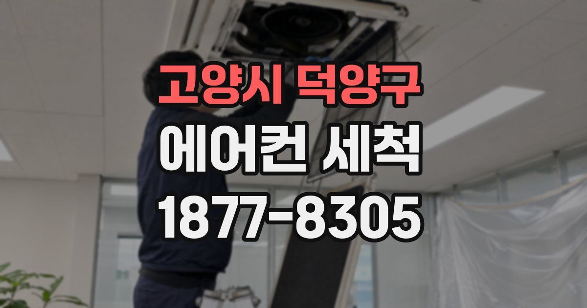 고양시 덕양구 에어컨 세척