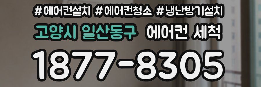 고양시 일산동구 에어컨 세척