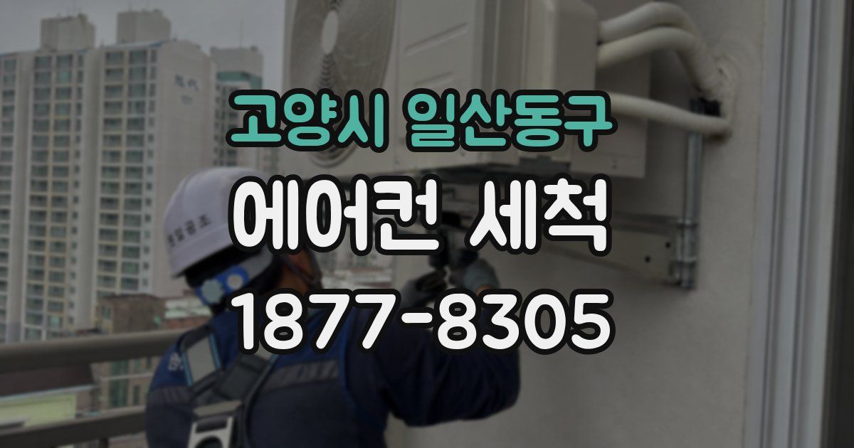 고양시 일산동구 에어컨 세척