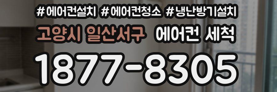 고양시 일산서구 에어컨 세척
