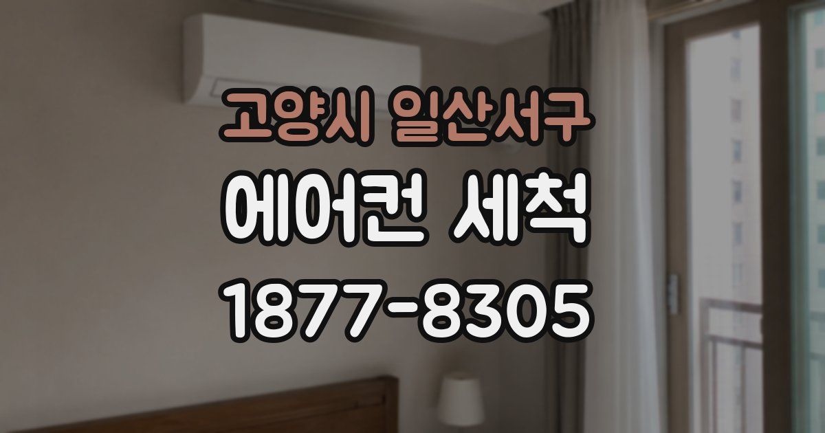 고양시 일산서구 에어컨 세척