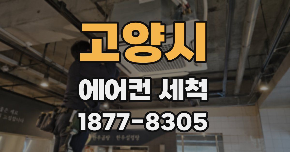 고양시 에어컨 세척