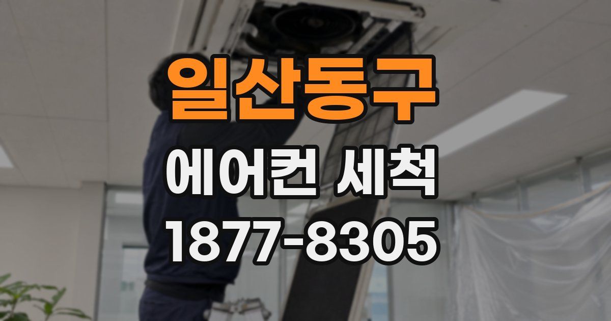 일산동구 에어컨 세척