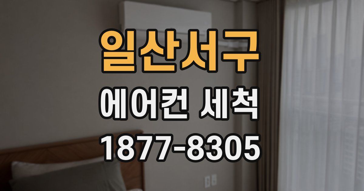 일산서구 에어컨 세척
