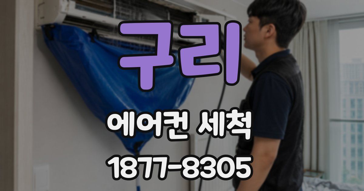 구리 에어컨 세척