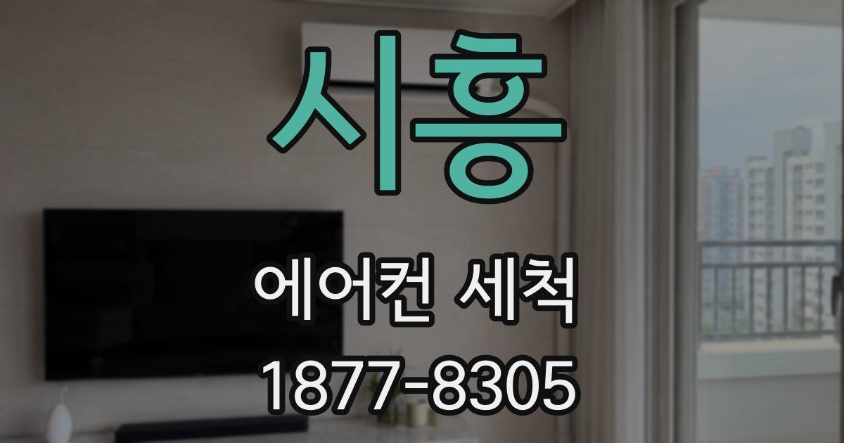 시흥 에어컨 세척
