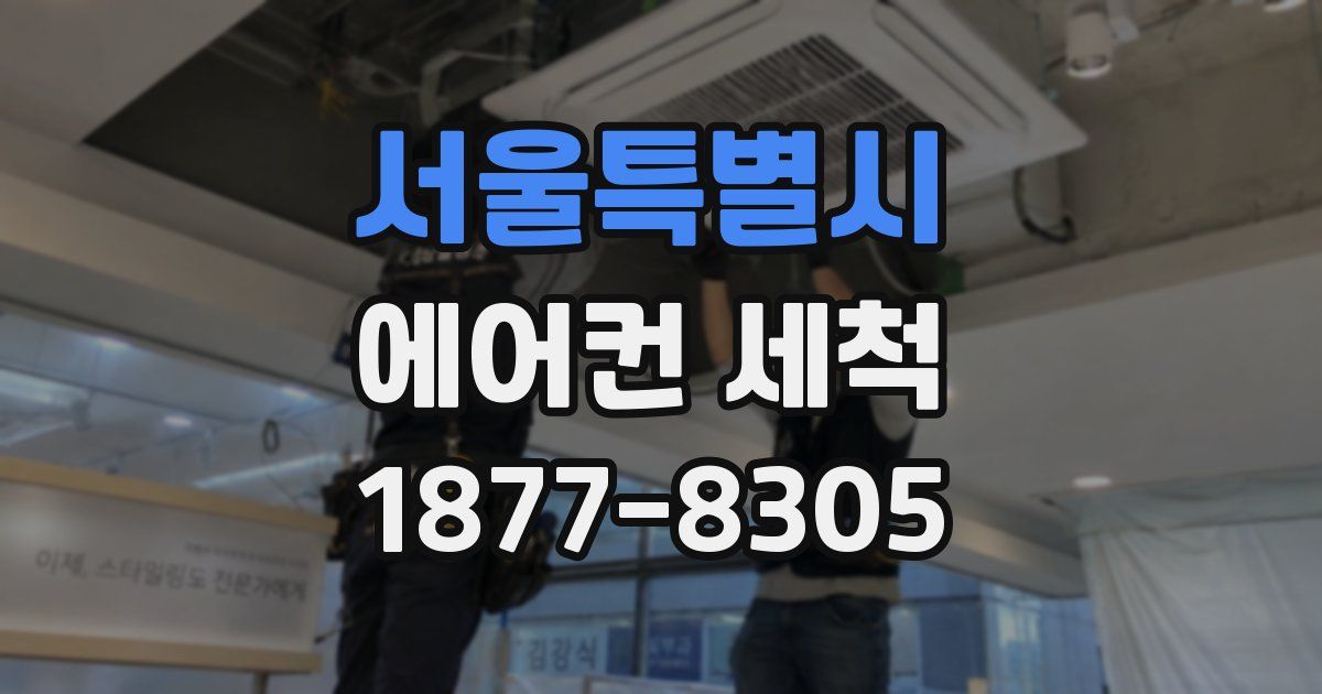 서울특별시 에어컨 세척