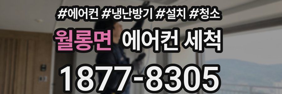 월롱면 에어컨 세척