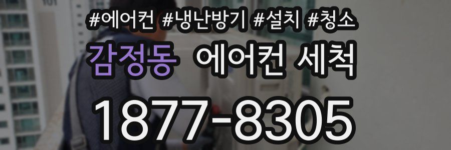 감정동 에어컨 세척