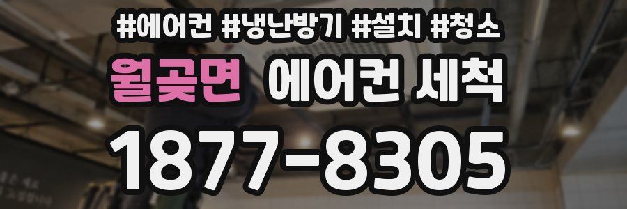 월곶면 에어컨 세척
