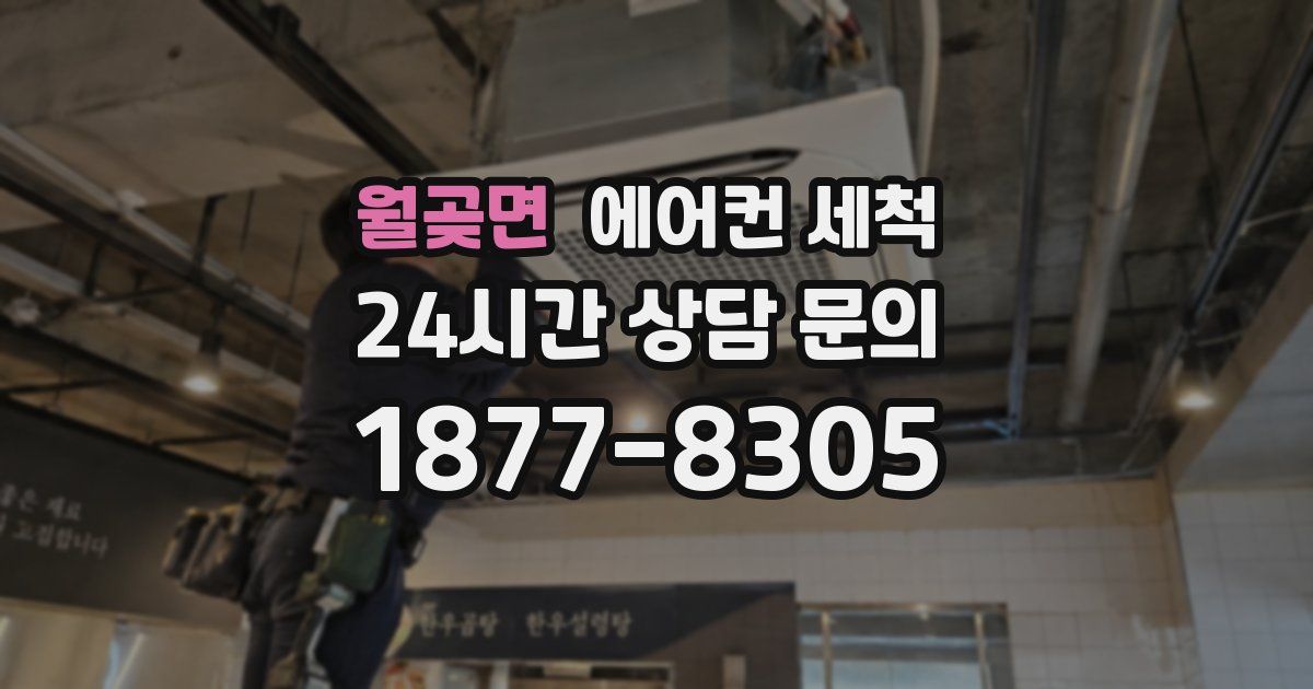 월곶면 에어컨 세척