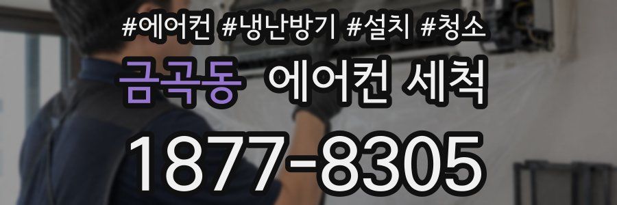 금곡동 에어컨 세척