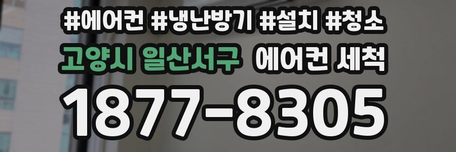 고양시 일산서구 에어컨 세척