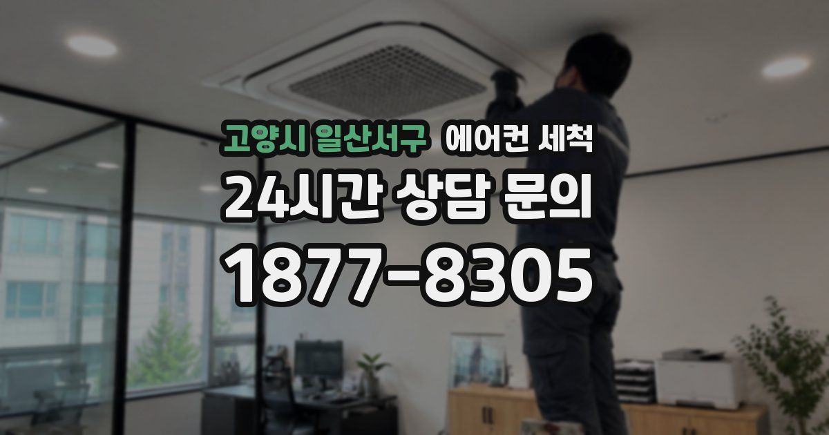 고양시 일산서구 에어컨 세척