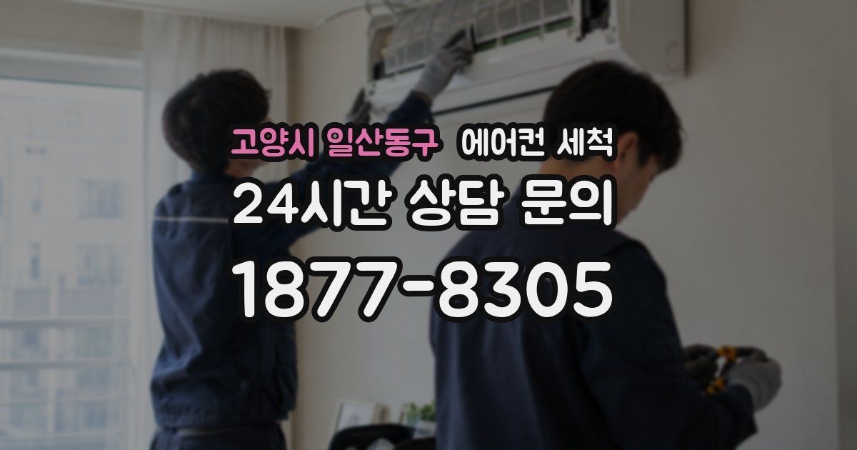 고양시 일산동구 에어컨 세척