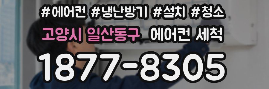 고양시 일산동구 에어컨 세척