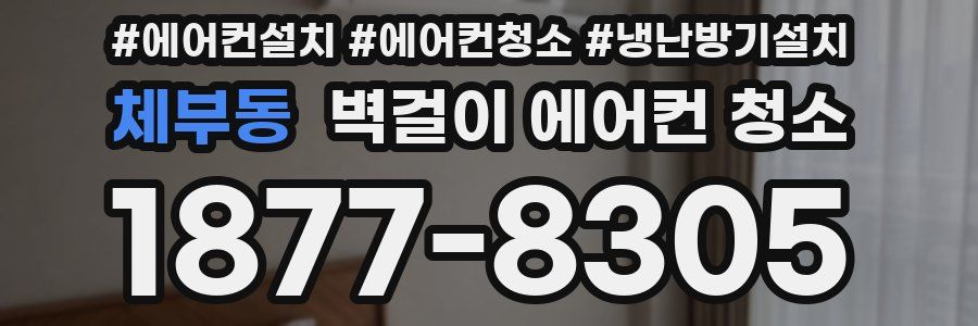체부동 벽걸이 에어컨 청소