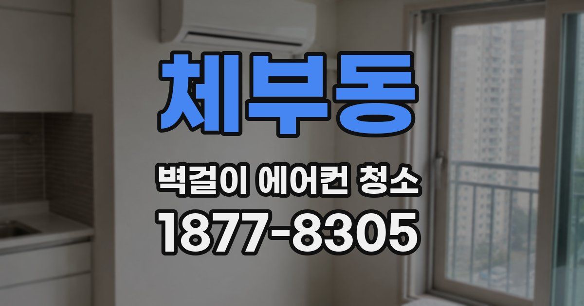체부동 벽걸이 에어컨 청소