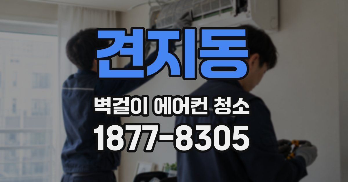 견지동 벽걸이 에어컨 청소