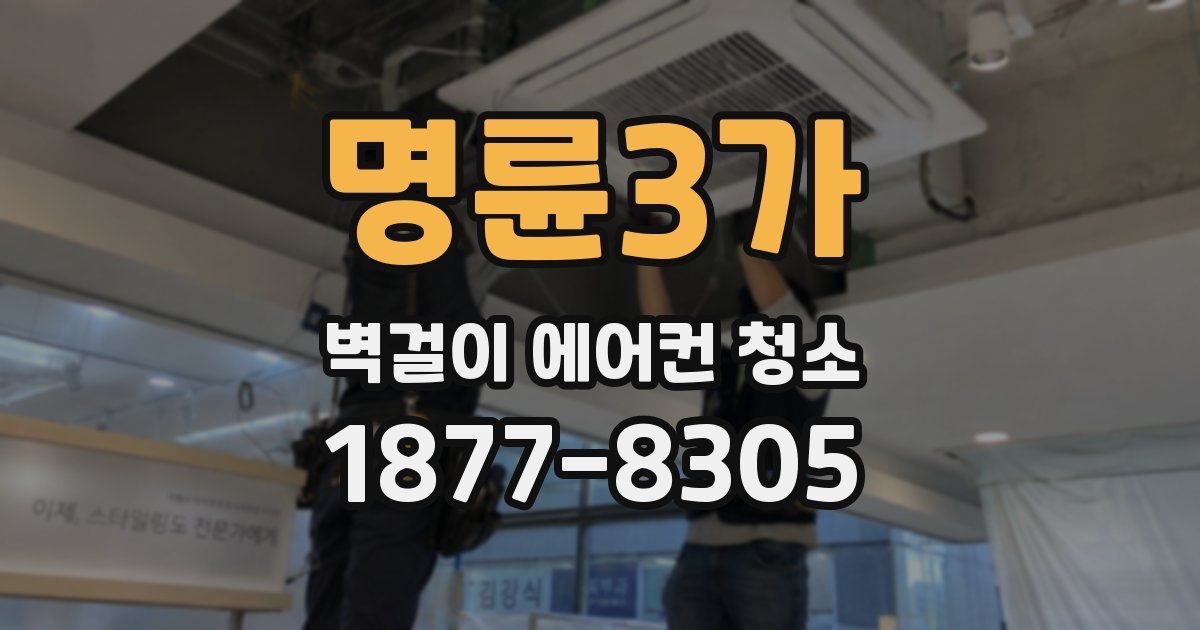명륜3가 벽걸이 에어컨 청소