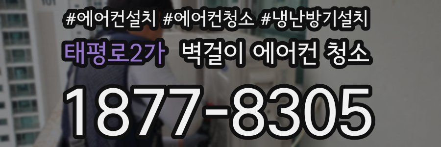 태평로2가 벽걸이 에어컨 청소