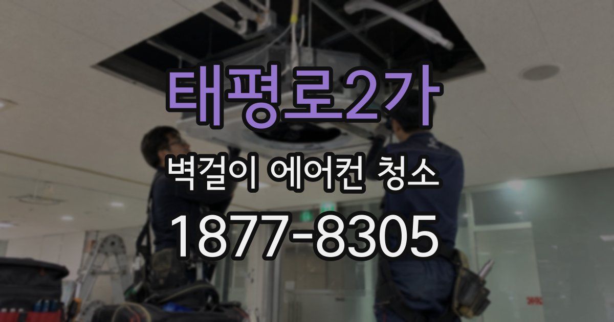태평로2가 벽걸이 에어컨 청소
