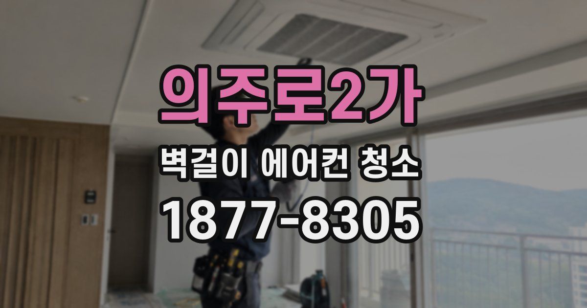의주로2가 벽걸이 에어컨 청소