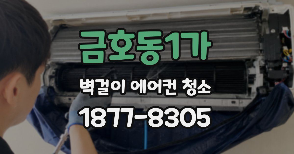 금호동1가 벽걸이 에어컨 청소