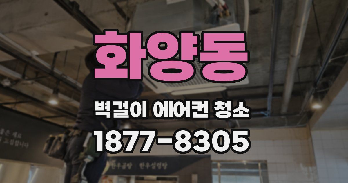 화양동 벽걸이 에어컨 청소