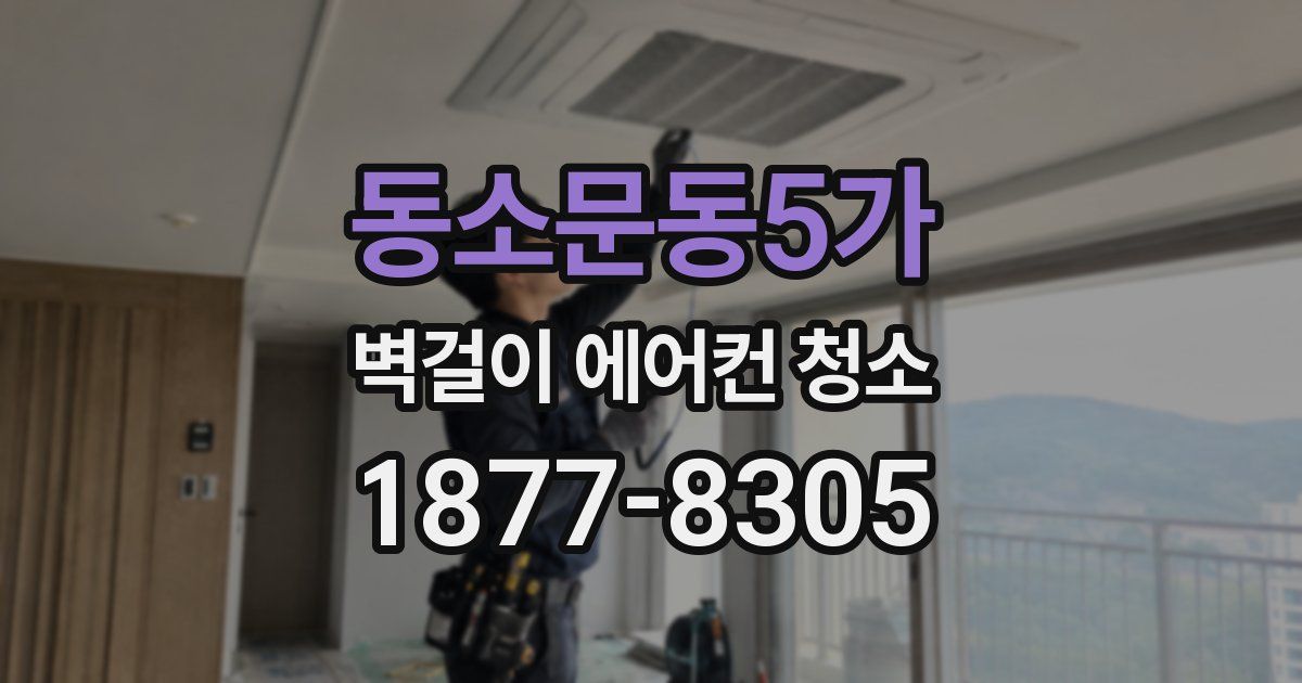 동소문동5가 벽걸이 에어컨 청소