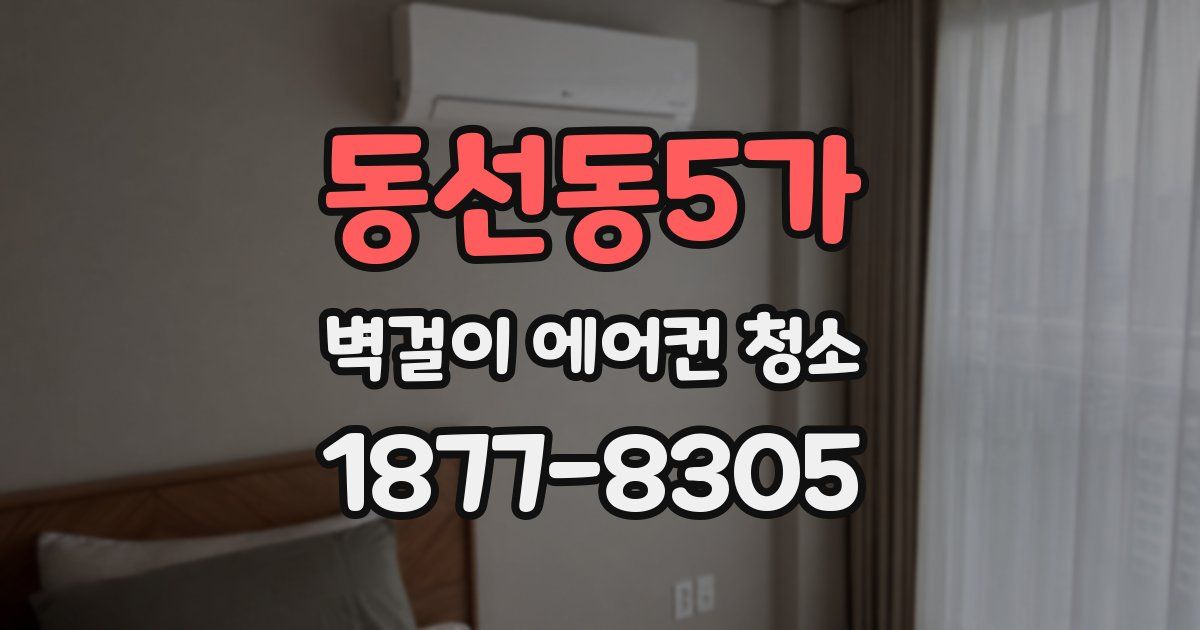 동선동5가 벽걸이 에어컨 청소