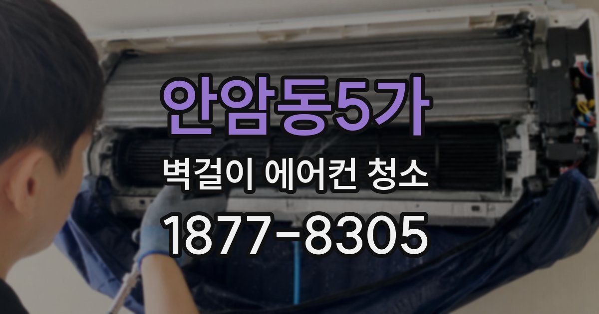 안암동5가 벽걸이 에어컨 청소