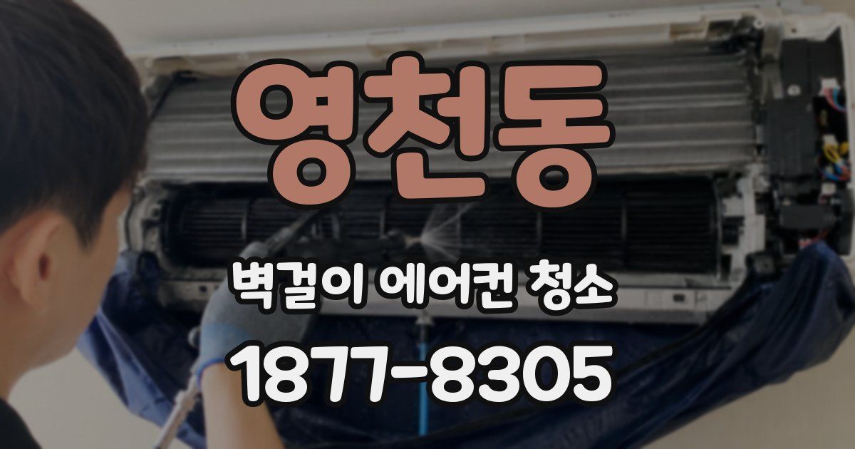 영천동 벽걸이 에어컨 청소