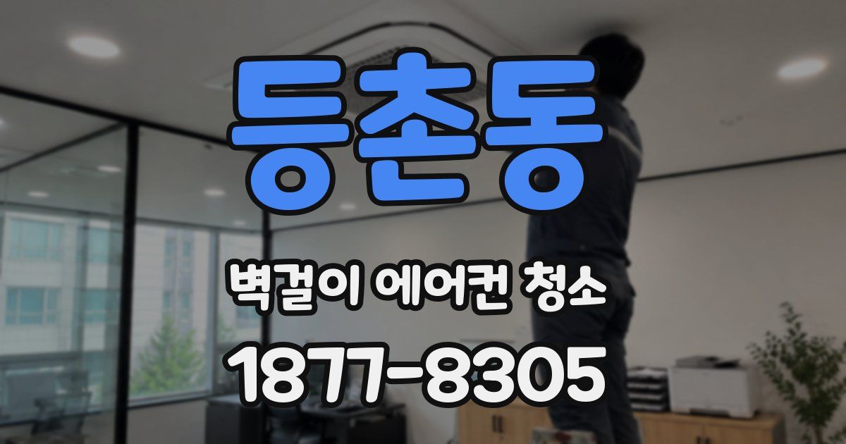등촌동 벽걸이 에어컨 청소
